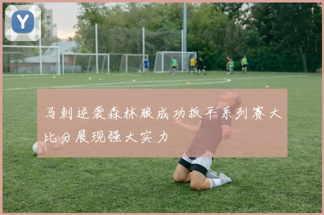 马刺逆袭森林狼成功扳平系列赛大比分展现强大实力