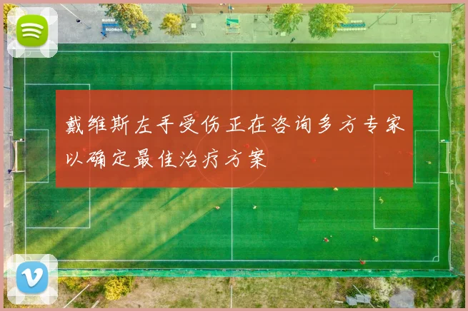 戴维斯左手受伤正在咨询多方专家以确定最佳治疗方案